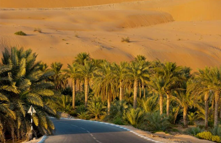 liwa full day desert safari